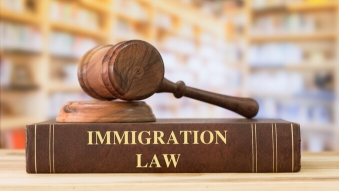 Immigration Law Primer Online Training Course
